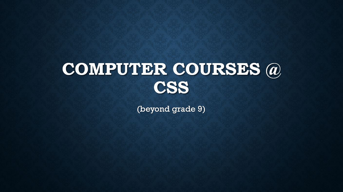 Computer Course Offerings