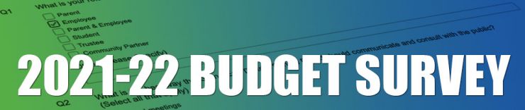 BudgetSurvey-header.jpg