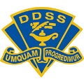Delhi District Secondary School Logo